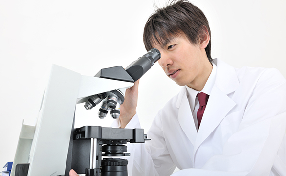 トライメディカル,トライ薬局,岩手県,八幡平市,田頭,処方せん受付,ドライブスルー,外国語対応,大更駅